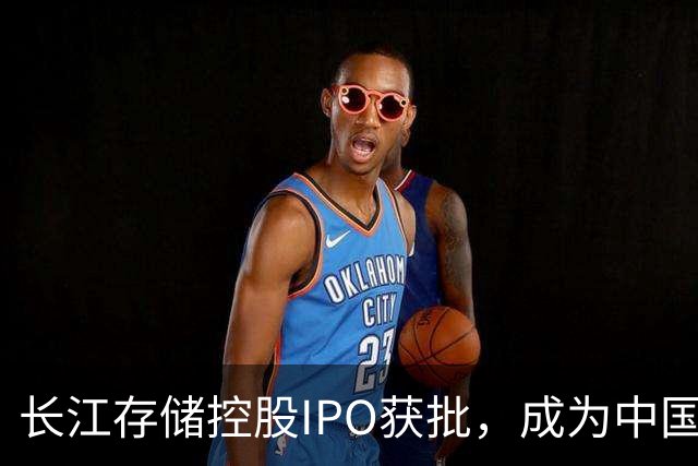 长江存储控股IPO获批，成为中国存储芯片领头羊